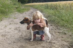 Bild: Der Foxterrier als Therapiehund