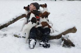 Bild: Kind mit Foxterrier-Welpen